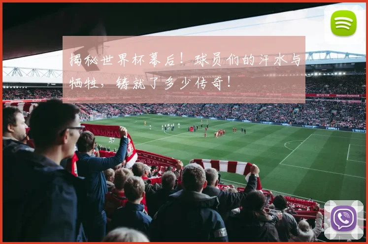 揭秘世界杯幕后!球员们的汗水与牺牲,铸就了多少传奇!